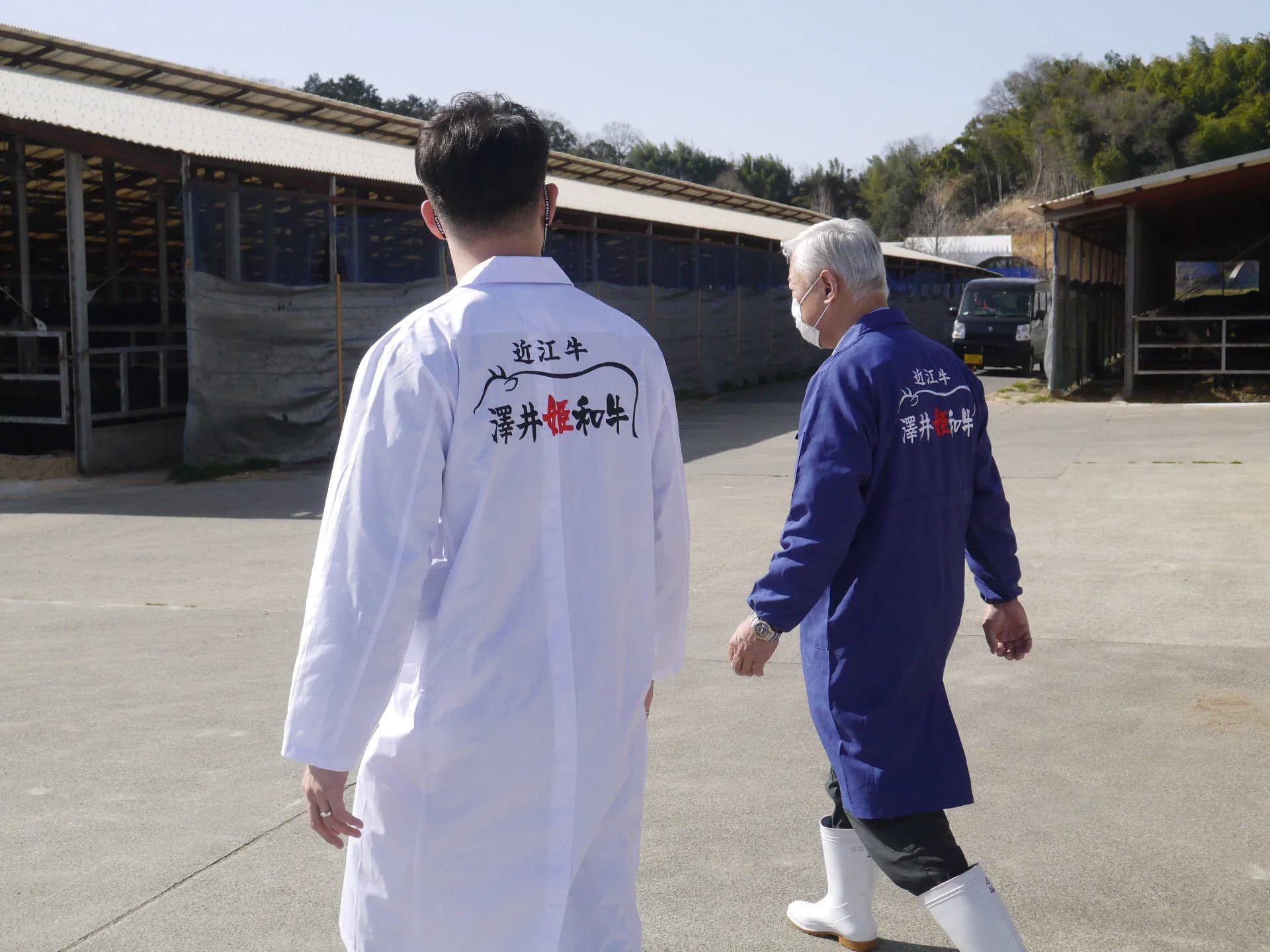 澤井牧場の牛舎へ向かう生産者と店主